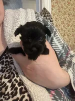 processed/36204708-611e-4732-9552-d7708f5f9e8a/listing/c7331f3c-0e7d-4bfb-a12e-0a619aa82604/5326c125-684f-41a2-9acd-15f74211e45b