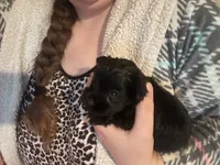 processed/36204708-611e-4732-9552-d7708f5f9e8a/listing/c7331f3c-0e7d-4bfb-a12e-0a619aa82604/891a09ec-b83a-4845-9c73-2233510bbef4