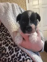 processed/36204708-611e-4732-9552-d7708f5f9e8a/listing/de56c071-720a-4582-8acc-5ebecaf0d50d/0c091ad0-7ff4-42ff-9588-41546e072761