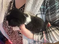 processed/36204708-611e-4732-9552-d7708f5f9e8a/listing/de56c071-720a-4582-8acc-5ebecaf0d50d/b293bce8-fc50-403b-9367-9a21130d1282