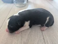 processed/362f3741-f6d5-42a6-afa0-54a0a44dfcf1/listing/49c2b420-98d5-4a68-b7e6-8a3f1e9f2da3/3043ecbc-89c8-41f8-9dc4-8bbd8196f7a1