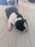 processed/362f3741-f6d5-42a6-afa0-54a0a44dfcf1/listing/49c2b420-98d5-4a68-b7e6-8a3f1e9f2da3/feea22f7-4ed6-4209-af01-cdf5f62a04ad