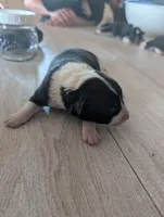 processed/362f3741-f6d5-42a6-afa0-54a0a44dfcf1/listing/566603d3-9f71-4d97-a1b1-7fc6d2d16660/194bbba2-e290-4cf6-a61a-728946bc83ca