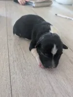 processed/362f3741-f6d5-42a6-afa0-54a0a44dfcf1/listing/c46dfde3-71ca-4d9c-96ef-245ecc0679db/578a4c86-277a-4780-8597-d6fefe0d2665