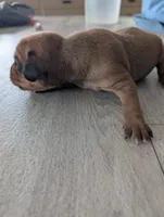 processed/362f3741-f6d5-42a6-afa0-54a0a44dfcf1/listing/df171aa4-9921-49b5-92be-cc2796d9c244/1bfbfda6-b6df-466a-a479-0dd988dc9bfa