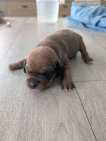 processed/362f3741-f6d5-42a6-afa0-54a0a44dfcf1/listing/df171aa4-9921-49b5-92be-cc2796d9c244/4999a0cf-79a8-4bf5-a37e-5051117d0338