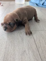 processed/362f3741-f6d5-42a6-afa0-54a0a44dfcf1/listing/df171aa4-9921-49b5-92be-cc2796d9c244/d1d31659-31f1-425b-a226-2a2c6a5b354f