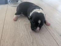 processed/362f3741-f6d5-42a6-afa0-54a0a44dfcf1/listing/fbc2d7ba-7ff7-4e0a-9a01-4764a9413b0f/c8fc0a7c-abf7-4d1e-b250-6a37ff1ca1a1