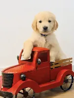 processed/362fa55f-bc3f-437f-a76d-8cc79aabcd0b/listing/3630cd14-192a-469e-b446-99025ef0ce82/92bd76a6-ed7c-48a6-93aa-b5df8d4180d9