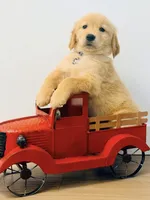 processed/362fa55f-bc3f-437f-a76d-8cc79aabcd0b/listing/a24f06b5-f3bb-46ca-b615-3346d7c3b220/c227b5a3-fbff-467b-ac26-1b1eda1455c4