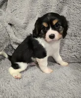 processed/3641ca9c-f0ad-42be-9e82-66f5826e7a5e/listing/777ded48-9d10-4c20-801e-8d54d71d2a18/b4d98200-bd05-401b-b73c-b5b475c21d59