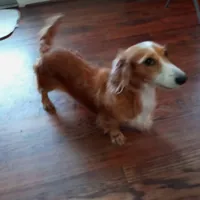 processed/36457951-74cc-42c8-b7e5-90d0cf01485e/facility/050306e6-a2ba-4a0f-be53-fcb7c59603fe