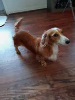 processed/36457951-74cc-42c8-b7e5-90d0cf01485e/facility/050306e6-a2ba-4a0f-be53-fcb7c59603fe