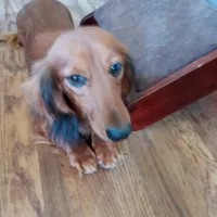 processed/36457951-74cc-42c8-b7e5-90d0cf01485e/facility/088e07e5-b010-4e68-8fa5-801f894e6222