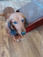 processed/36457951-74cc-42c8-b7e5-90d0cf01485e/facility/088e07e5-b010-4e68-8fa5-801f894e6222