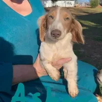 processed/36457951-74cc-42c8-b7e5-90d0cf01485e/facility/20a2ad2f-0ba7-4ba9-b774-c076bac93fdc