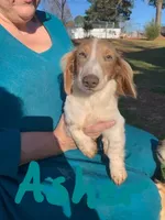 processed/36457951-74cc-42c8-b7e5-90d0cf01485e/facility/20a2ad2f-0ba7-4ba9-b774-c076bac93fdc