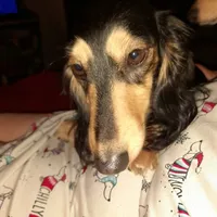 processed/36457951-74cc-42c8-b7e5-90d0cf01485e/facility/4975669c-f416-49f4-90d8-db4a6262291a