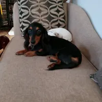 processed/36457951-74cc-42c8-b7e5-90d0cf01485e/facility/679a1665-e856-4ec7-8d56-3aed4fdbdfc2