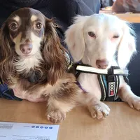 processed/36457951-74cc-42c8-b7e5-90d0cf01485e/facility/afbf2b68-1857-4855-9b80-aa795e244537