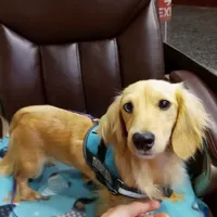 processed/36457951-74cc-42c8-b7e5-90d0cf01485e/facility/eba5e7cf-e653-41b7-bcc0-12fa99c30e9b