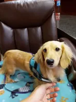 processed/36457951-74cc-42c8-b7e5-90d0cf01485e/facility/eba5e7cf-e653-41b7-bcc0-12fa99c30e9b