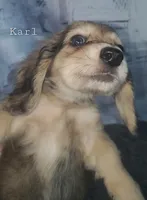 processed/36457951-74cc-42c8-b7e5-90d0cf01485e/listing/2929d842-f297-4a9e-91fb-27a24d7d1efd/38241185-566a-4a51-aa56-cdc9e1d862fb