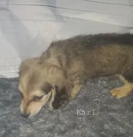 processed/36457951-74cc-42c8-b7e5-90d0cf01485e/listing/2929d842-f297-4a9e-91fb-27a24d7d1efd/c5b595ec-7f49-4d1f-b6bb-0f271fd0f5f9