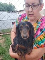 processed/36457951-74cc-42c8-b7e5-90d0cf01485e/listing/2fe8c646-b180-4564-a389-b75eb7137014/7f227714-e27e-45ca-bf97-69b383e7a921