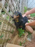 processed/36457951-74cc-42c8-b7e5-90d0cf01485e/listing/2fe8c646-b180-4564-a389-b75eb7137014/ae7322f6-c553-4e1f-8428-4165c1c71e87