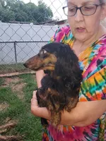 processed/36457951-74cc-42c8-b7e5-90d0cf01485e/listing/2fe8c646-b180-4564-a389-b75eb7137014/be7ca20f-f13a-418a-ba6a-98b2ea310ea8