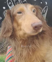 processed/36457951-74cc-42c8-b7e5-90d0cf01485e/listing/70ef19b2-150d-4d82-a128-639fe859a6a4/801a8c04-388c-4585-98c0-9a932a58a051