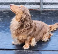 processed/36457951-74cc-42c8-b7e5-90d0cf01485e/listing/70ef19b2-150d-4d82-a128-639fe859a6a4/99169edf-b0c8-4c2a-b8d0-ecc73c370310