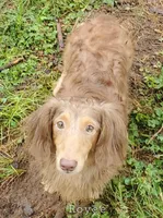 processed/36457951-74cc-42c8-b7e5-90d0cf01485e/listing/70ef19b2-150d-4d82-a128-639fe859a6a4/a950dd3e-d4bc-4c85-8466-245d60772259