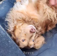 processed/36457951-74cc-42c8-b7e5-90d0cf01485e/listing/70ef19b2-150d-4d82-a128-639fe859a6a4/e0f695c8-fb01-4715-b6df-cc4b1e54d221