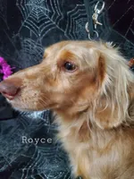 processed/36457951-74cc-42c8-b7e5-90d0cf01485e/listing/70ef19b2-150d-4d82-a128-639fe859a6a4/f67b2700-baba-4015-8be0-126f42643f0b