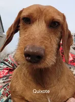 processed/36457951-74cc-42c8-b7e5-90d0cf01485e/listing/acf6cc61-c786-4ed7-ab27-ef51c392f2bf/034b2124-edd8-47b3-8a4e-8a16577f61f4