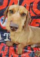 processed/36457951-74cc-42c8-b7e5-90d0cf01485e/listing/acf6cc61-c786-4ed7-ab27-ef51c392f2bf/85e3168f-3620-4d41-9b21-0fcc532e1baa