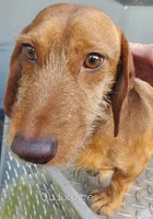 processed/36457951-74cc-42c8-b7e5-90d0cf01485e/listing/acf6cc61-c786-4ed7-ab27-ef51c392f2bf/fa94421a-aeb2-4aaf-b058-8336d211ee1e