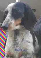 processed/36457951-74cc-42c8-b7e5-90d0cf01485e/listing/c47afa89-ec3d-459d-8a39-e48c4d47f2eb/4888ecaa-1fb2-4b49-bdce-ab9c4f7712b9