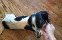 processed/36457951-74cc-42c8-b7e5-90d0cf01485e/listing/c47afa89-ec3d-459d-8a39-e48c4d47f2eb/4cdca9cc-781f-4af8-9844-df33ceb15b5c