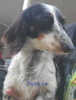 processed/36457951-74cc-42c8-b7e5-90d0cf01485e/listing/c47afa89-ec3d-459d-8a39-e48c4d47f2eb/5513445f-0f29-40cc-81cc-cd88f83646ef