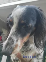 processed/36457951-74cc-42c8-b7e5-90d0cf01485e/listing/c47afa89-ec3d-459d-8a39-e48c4d47f2eb/65737838-26e1-43cc-9ad5-a0f5cc86e43d