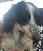 processed/36457951-74cc-42c8-b7e5-90d0cf01485e/listing/c47afa89-ec3d-459d-8a39-e48c4d47f2eb/a1b3de6b-401a-48d6-ab49-e9590a3522e2