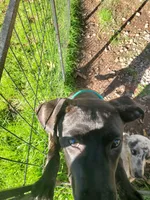 processed/36457951-74cc-42c8-b7e5-90d0cf01485e/listing/d177ad2e-8259-485a-8f80-c30c66b746ed/530eb220-fdbc-41b0-a3ad-6c94c91048e0