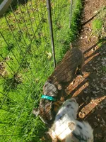 processed/36457951-74cc-42c8-b7e5-90d0cf01485e/listing/d177ad2e-8259-485a-8f80-c30c66b746ed/b18d726a-7f46-4b96-95b8-e23dca80ea62