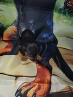 Vito, wire hair, a male Miniature Dachshund for sale in Tuscaloosa, AL – Photo 2 of 7