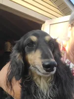 processed/36457951-74cc-42c8-b7e5-90d0cf01485e/listing/f6bac1c8-8241-478c-8640-ffcd409dec46/13fec3e6-52d2-4d63-be3c-dd76f56f8727