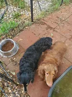 processed/36457951-74cc-42c8-b7e5-90d0cf01485e/listing/f6bac1c8-8241-478c-8640-ffcd409dec46/a1109ff5-ddc4-4419-b704-b655aa28fc37