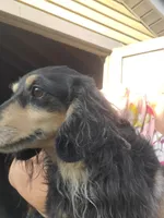 processed/36457951-74cc-42c8-b7e5-90d0cf01485e/listing/f6bac1c8-8241-478c-8640-ffcd409dec46/a2dbda8e-7f34-4747-b314-19b381512cd8